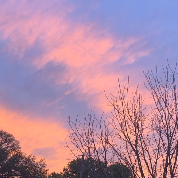 Meet your Posher, Ariel - Picture 1 of 1